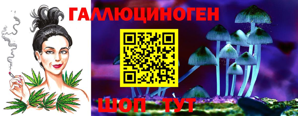Галлюциногенные грибы GOLDEN TEACHER  Вход с VPN  Славгород 